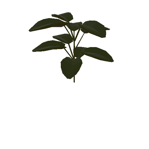 Leafy Plant 1_1
